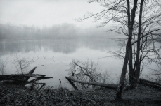 Kendall Lake Fog #1